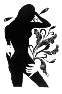 The Black Lotus