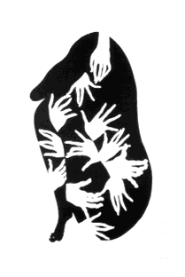 The Black Lotus